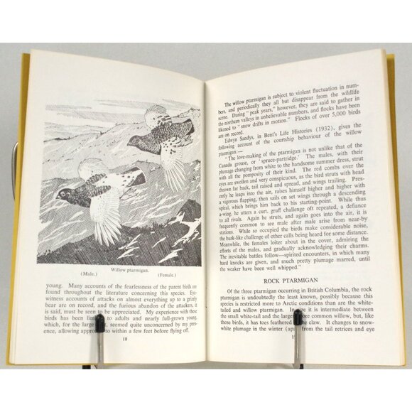 The Birds of British Columbia Upland Game Birds BC Provincial Museum Handbook 10 - Picture 5 of 8